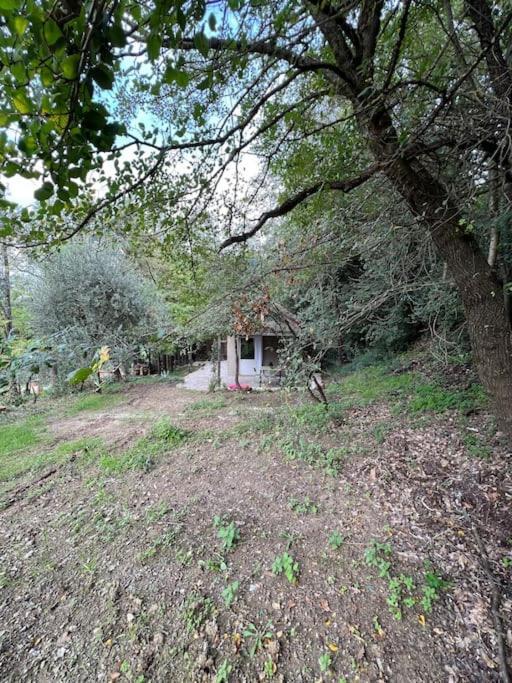 Eco-Chic Retreat: Countryside Oasis Near Florence Pozzolatico Exteriör bild